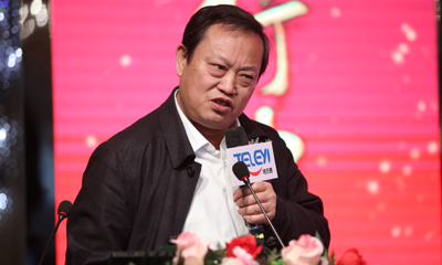 劉長發：中國建材工業十三五發展規劃設想