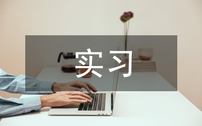 頂崗實習論文