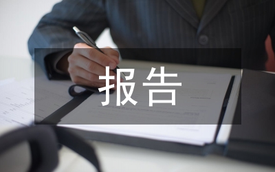 稅務稽查報告