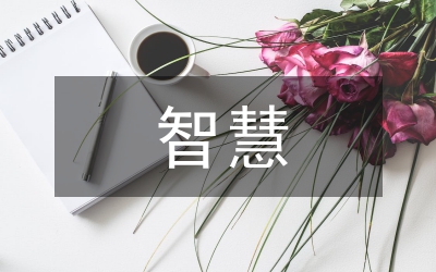 新型智慧交通