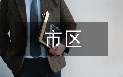 市區建設局副局年度述職