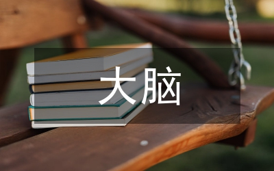 城市交通大腦應用現狀與業務體系分析