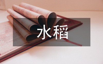 水稻機(jī)械化插秧技術(shù)與種植機(jī)械趨勢